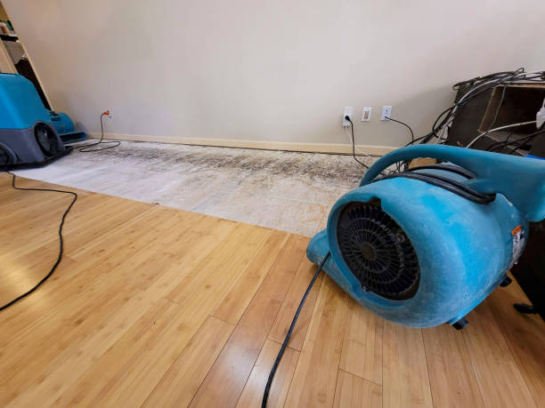 Professional Ceiling Water Damage Repair technician working in Grantsville, UT